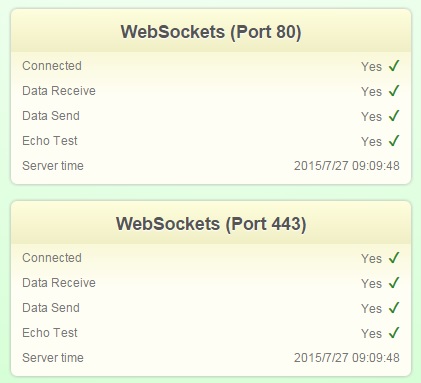 Websocketstest_com.jpg